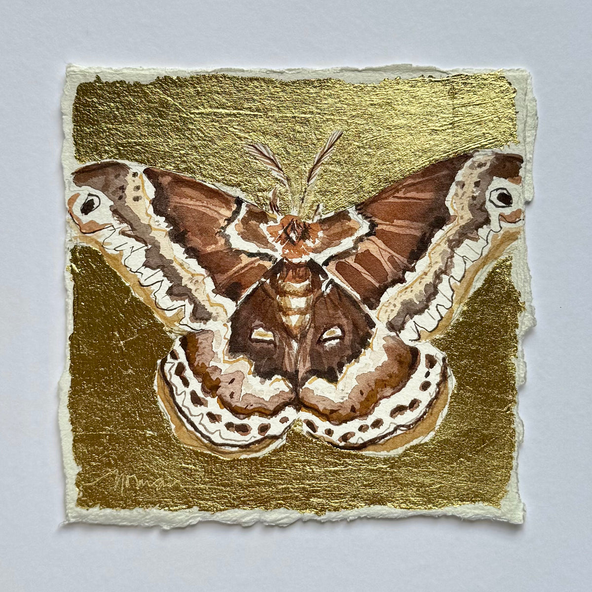 Small Gilded Moth