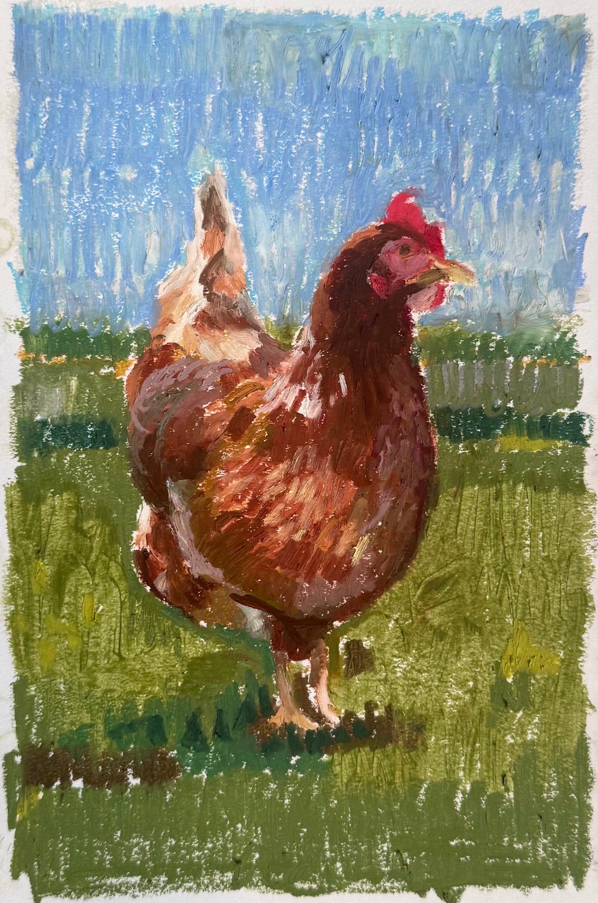 Solo Chicken