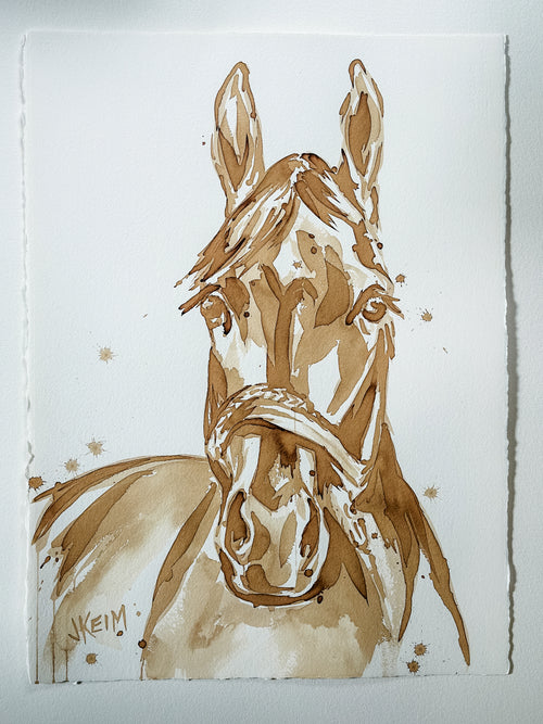 Stallion
