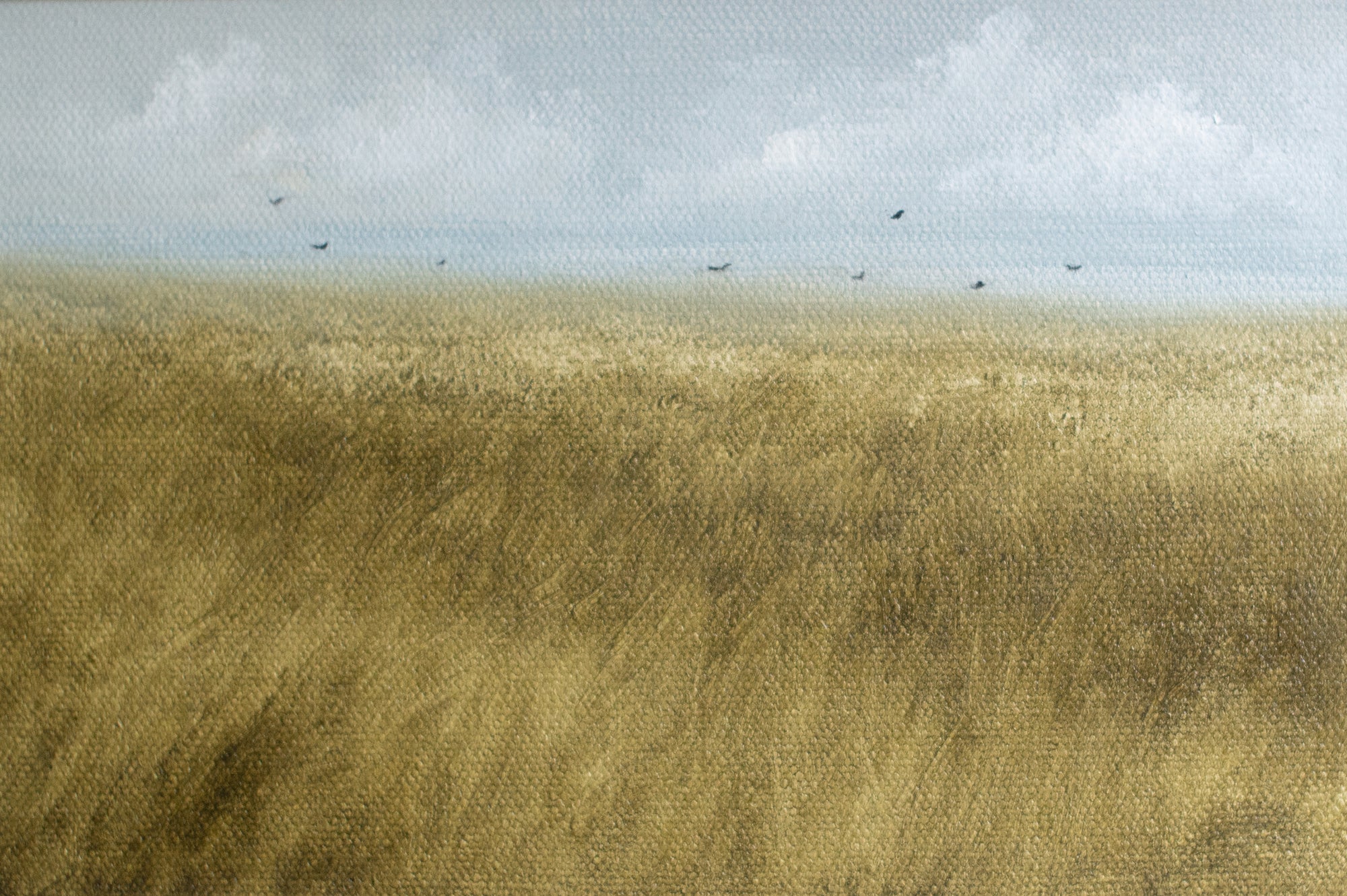 Summer Grass