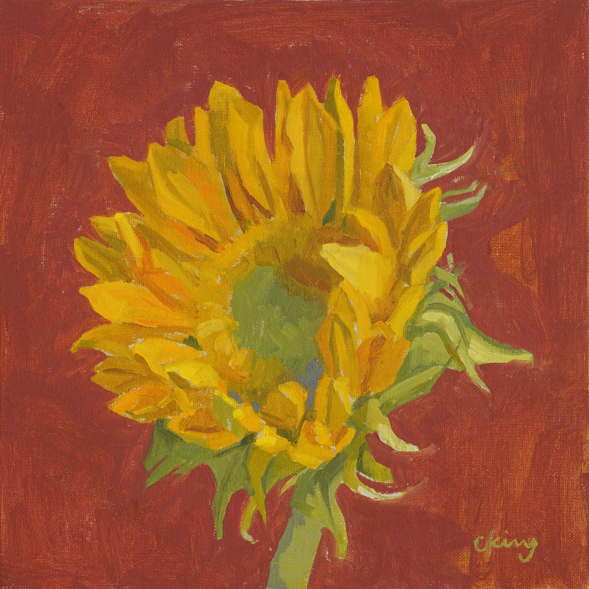 Sunflower on Red