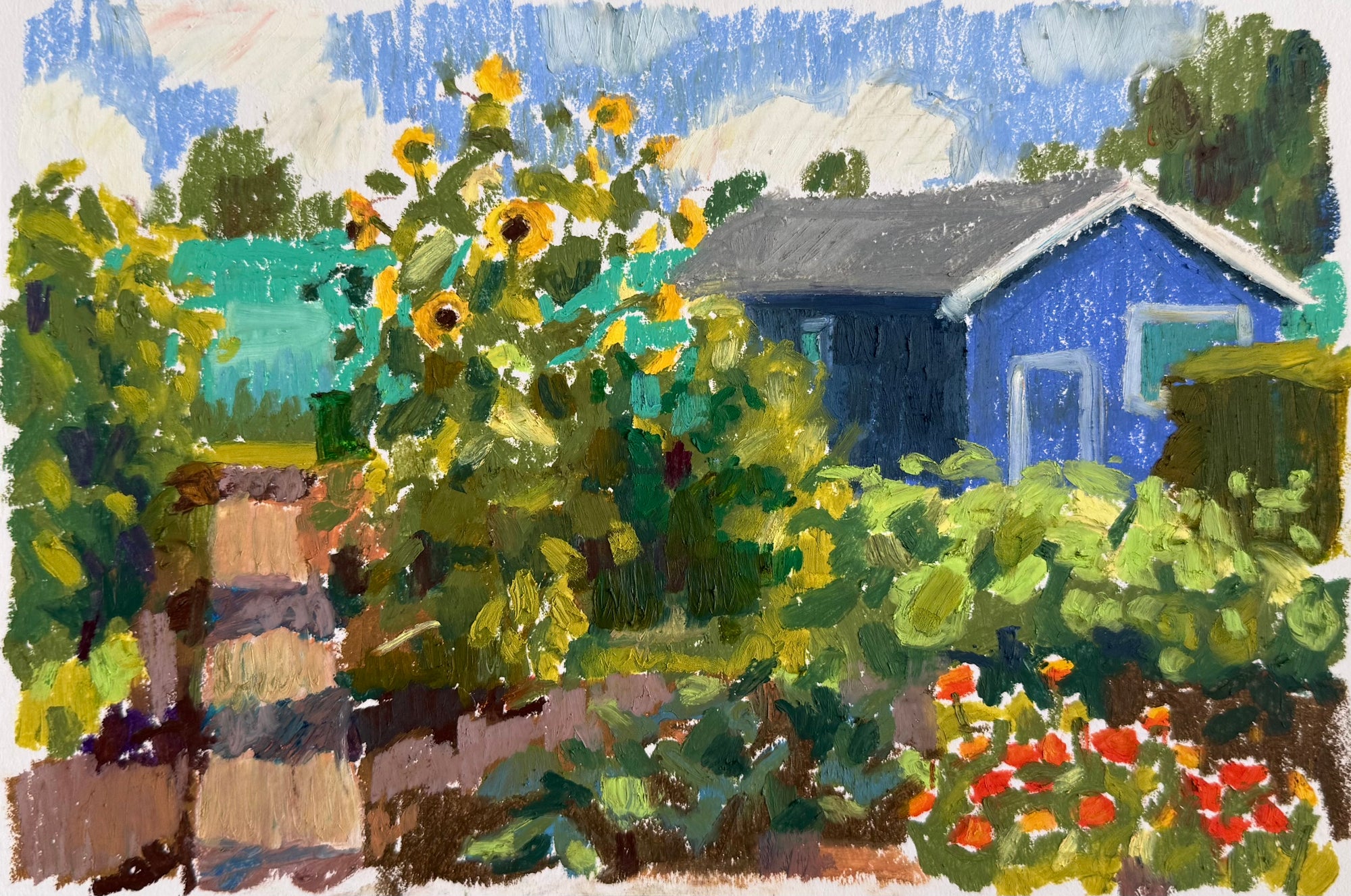 Sunflowers in the Garden