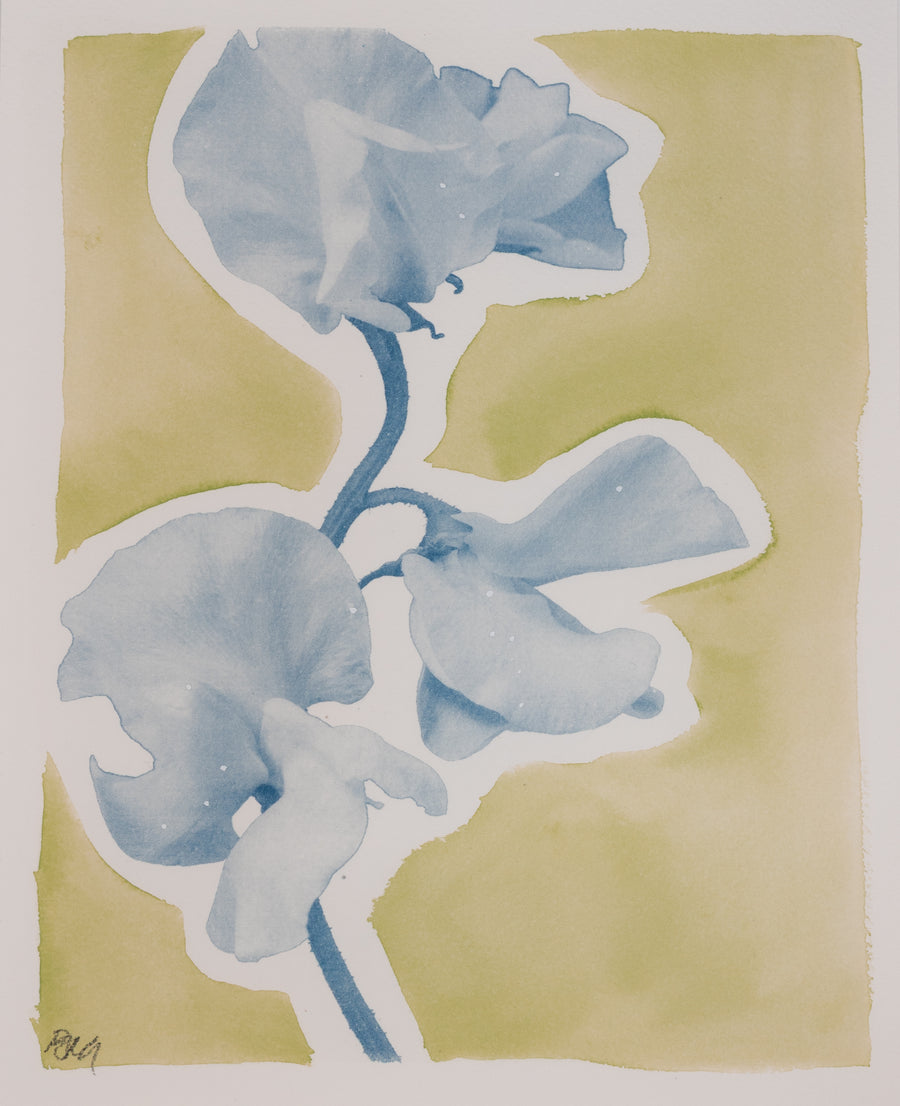 Sweet Pea No. 2 in Pea Green