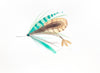 Swimmer