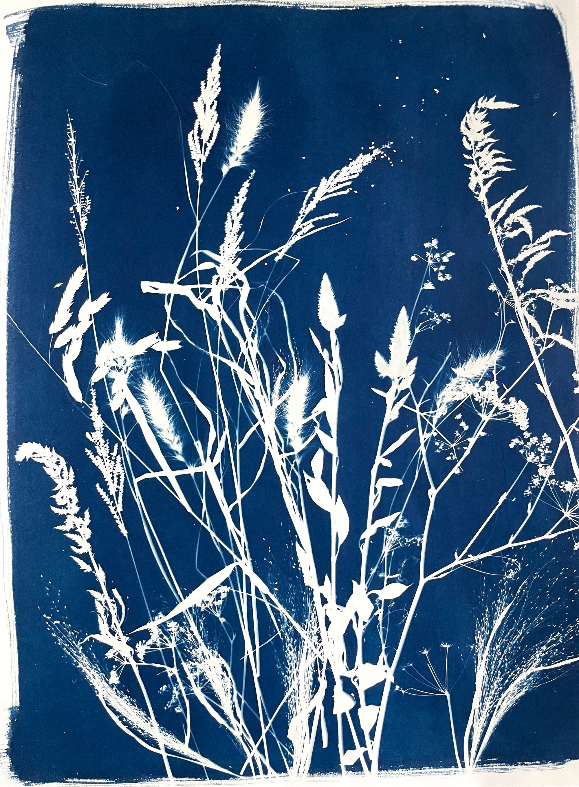 The Wild Garden No. 10