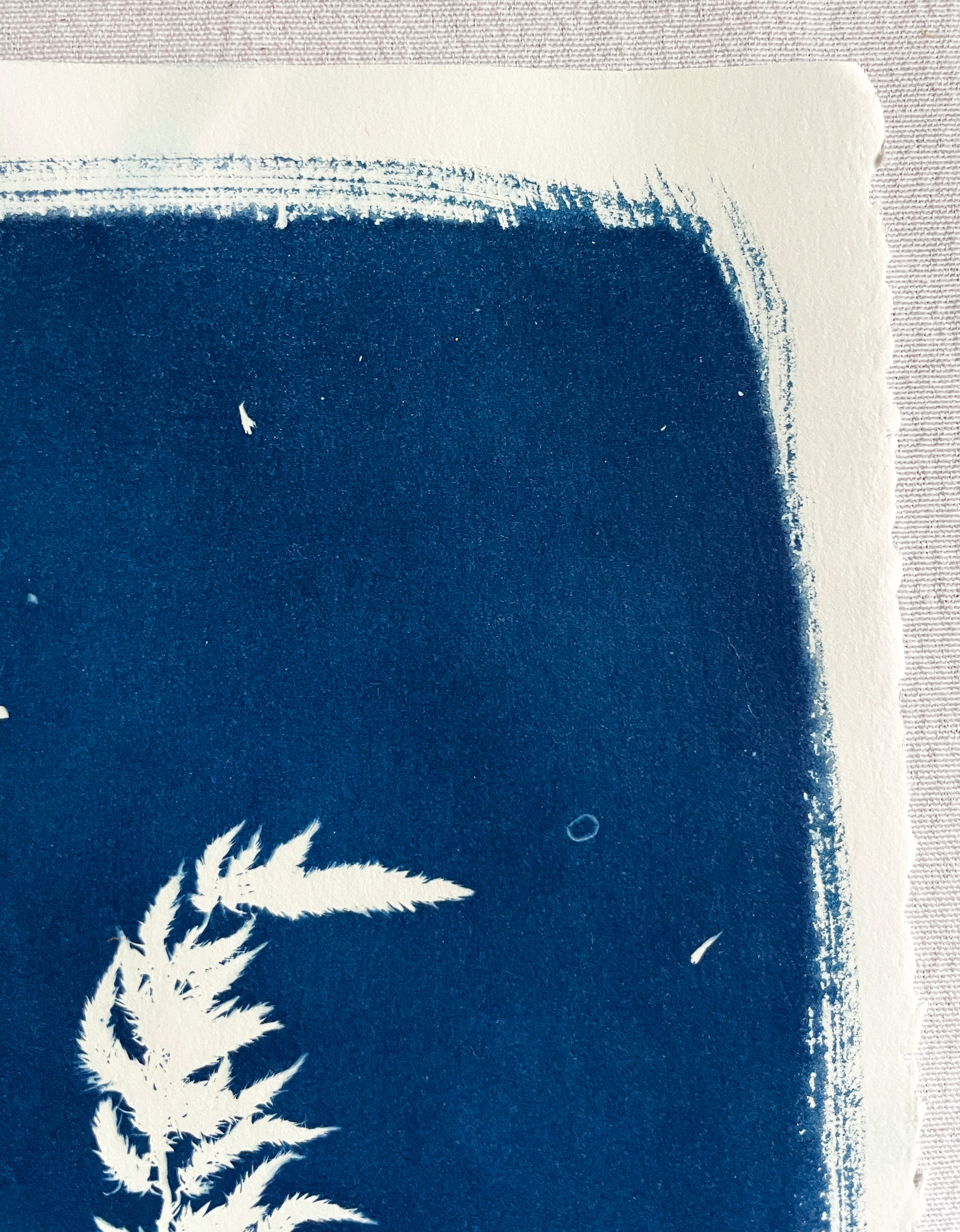 The Wild Garden No. 10