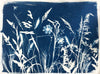 The Wild Garden No. 11
