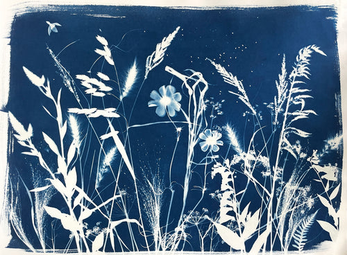 The Wild Garden No. 11