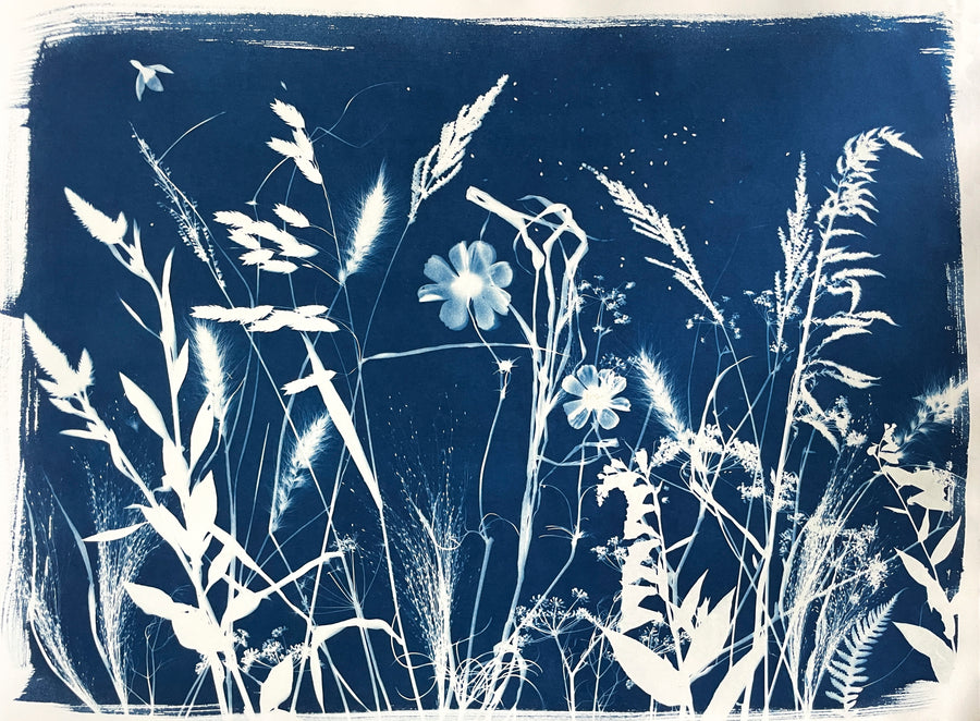 The Wild Garden No. 11