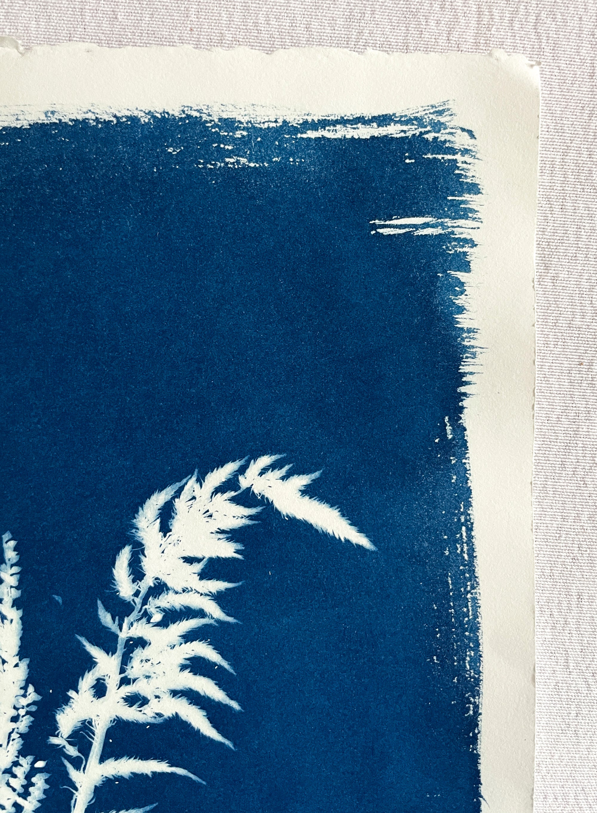 The Wild Garden No. 11