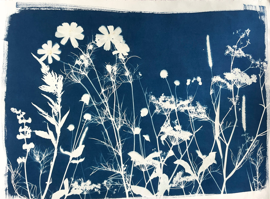 The Wild Garden No. 12