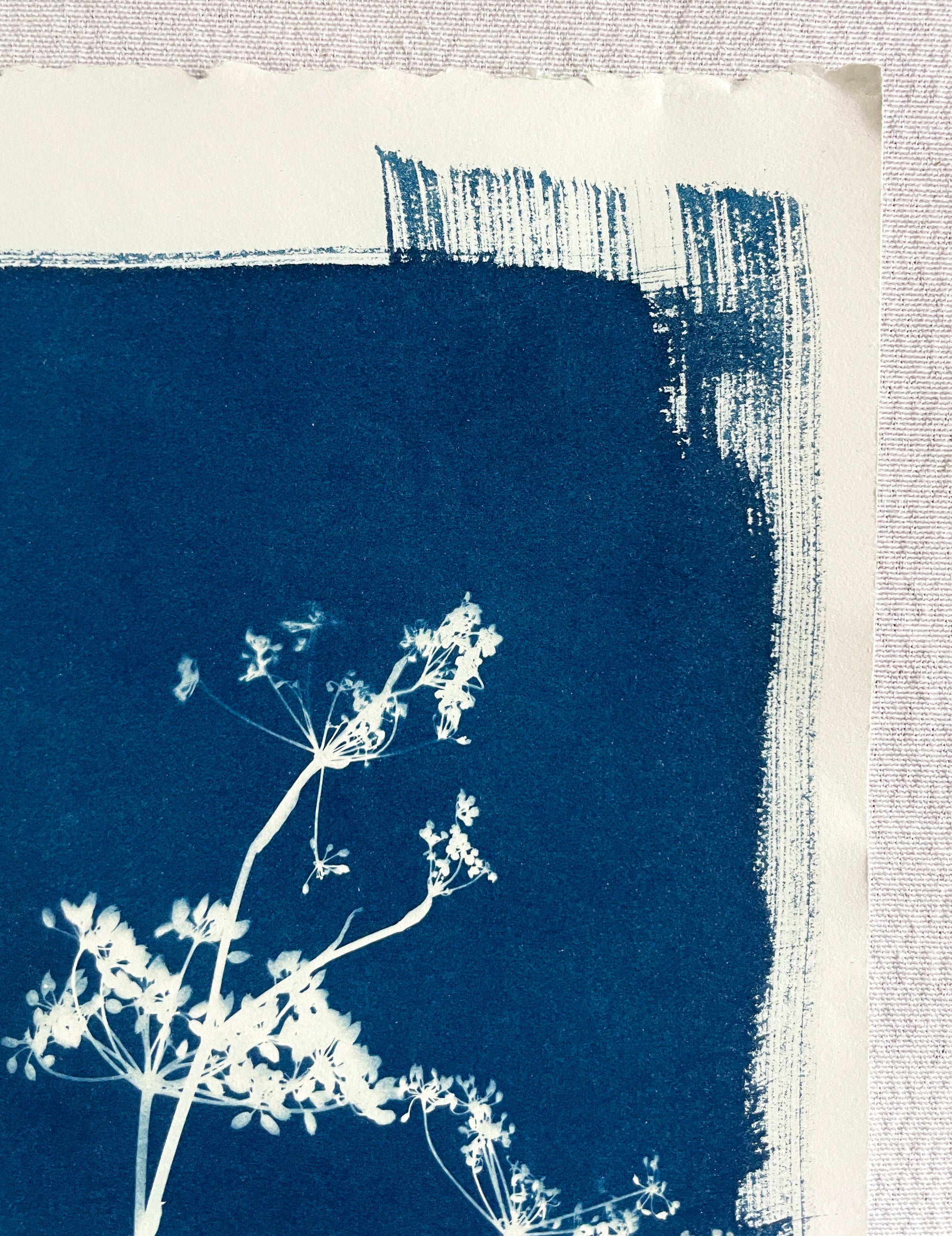 The Wild Garden No. 12