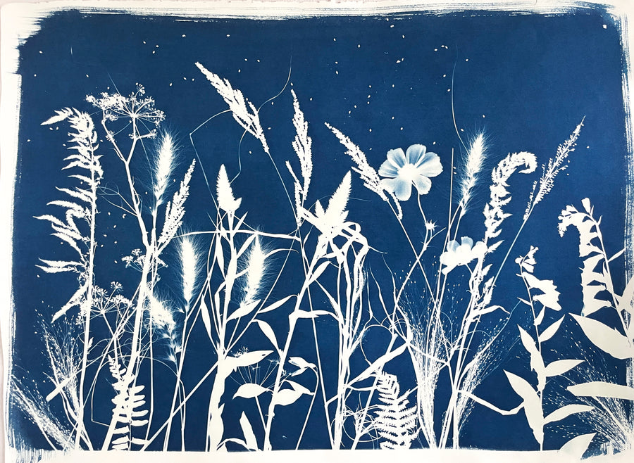 The Wild Garden No. 13