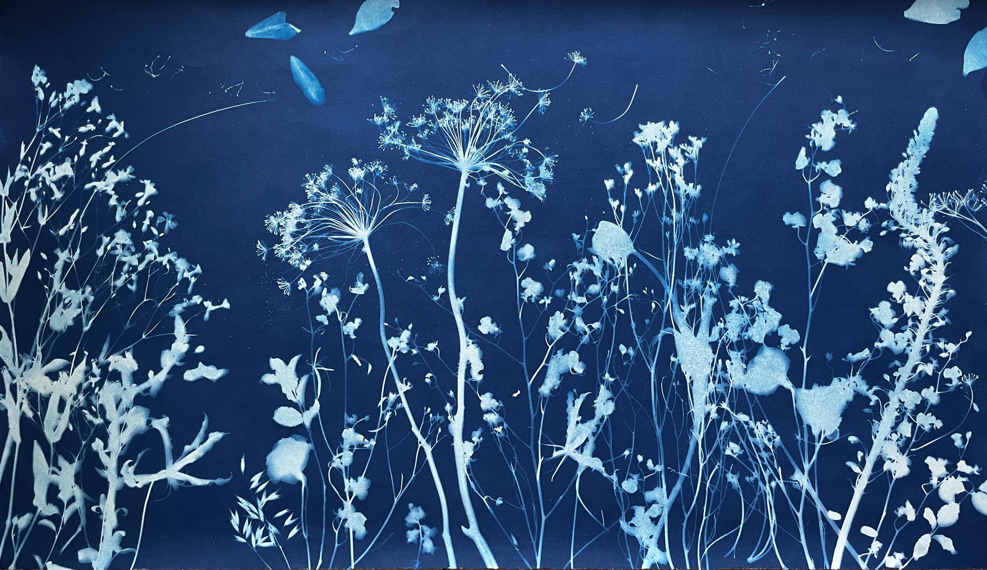 The Wild Garden No. 1