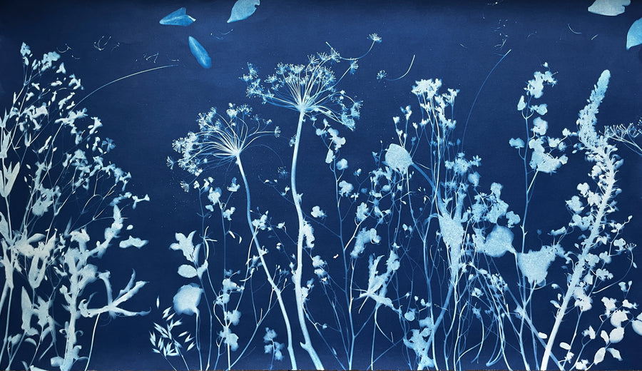 The Wild Garden No. 1