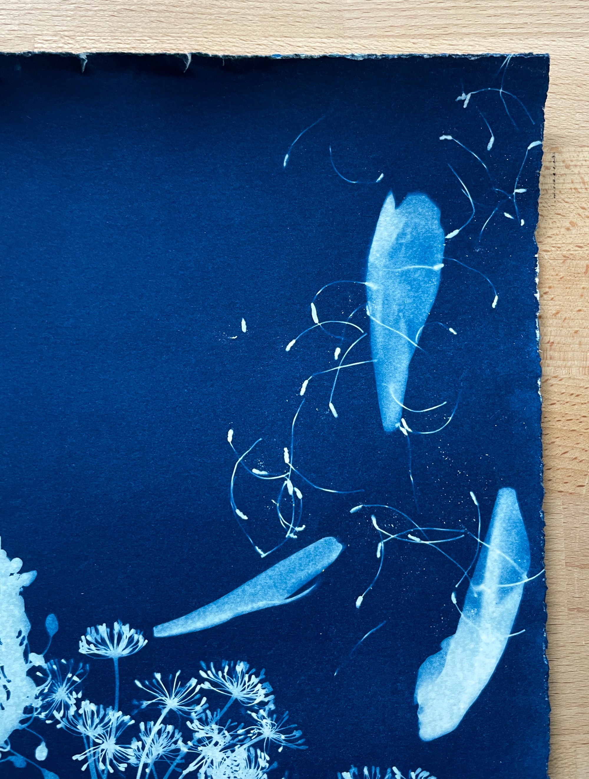 The Wild Garden No. 2