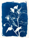 The Wild Garden No. 3