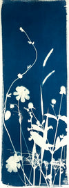 The Wild Garden No. 4