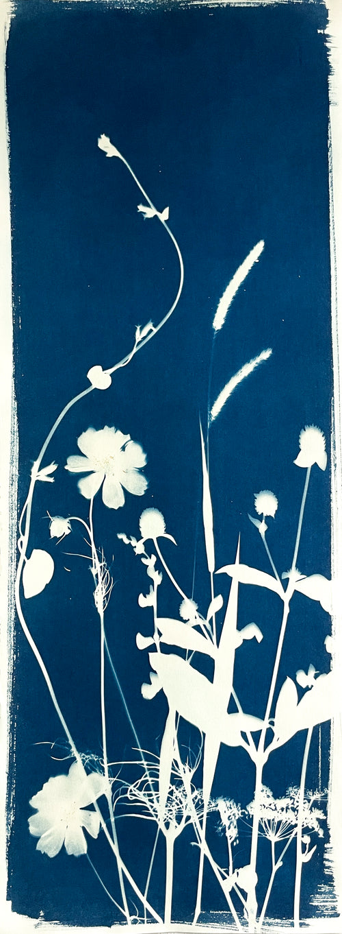 The Wild Garden No. 4