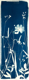 The Wild Garden No. 5