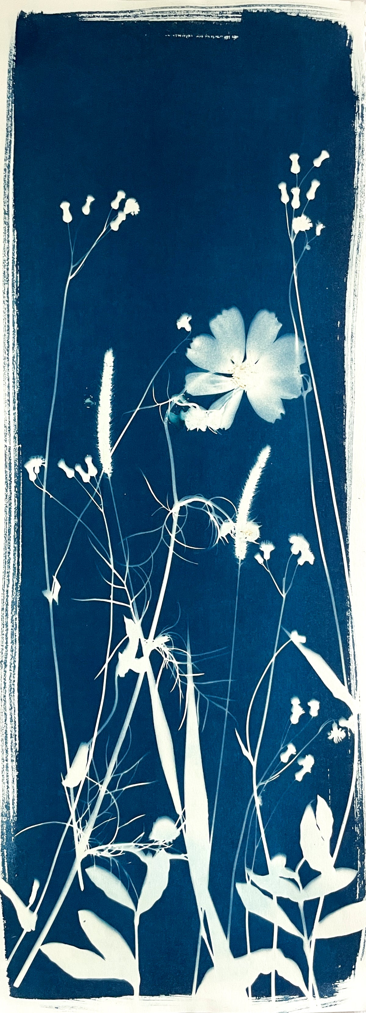 The Wild Garden No. 5