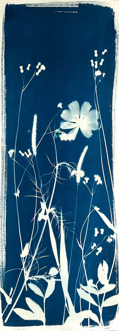 The Wild Garden No. 5