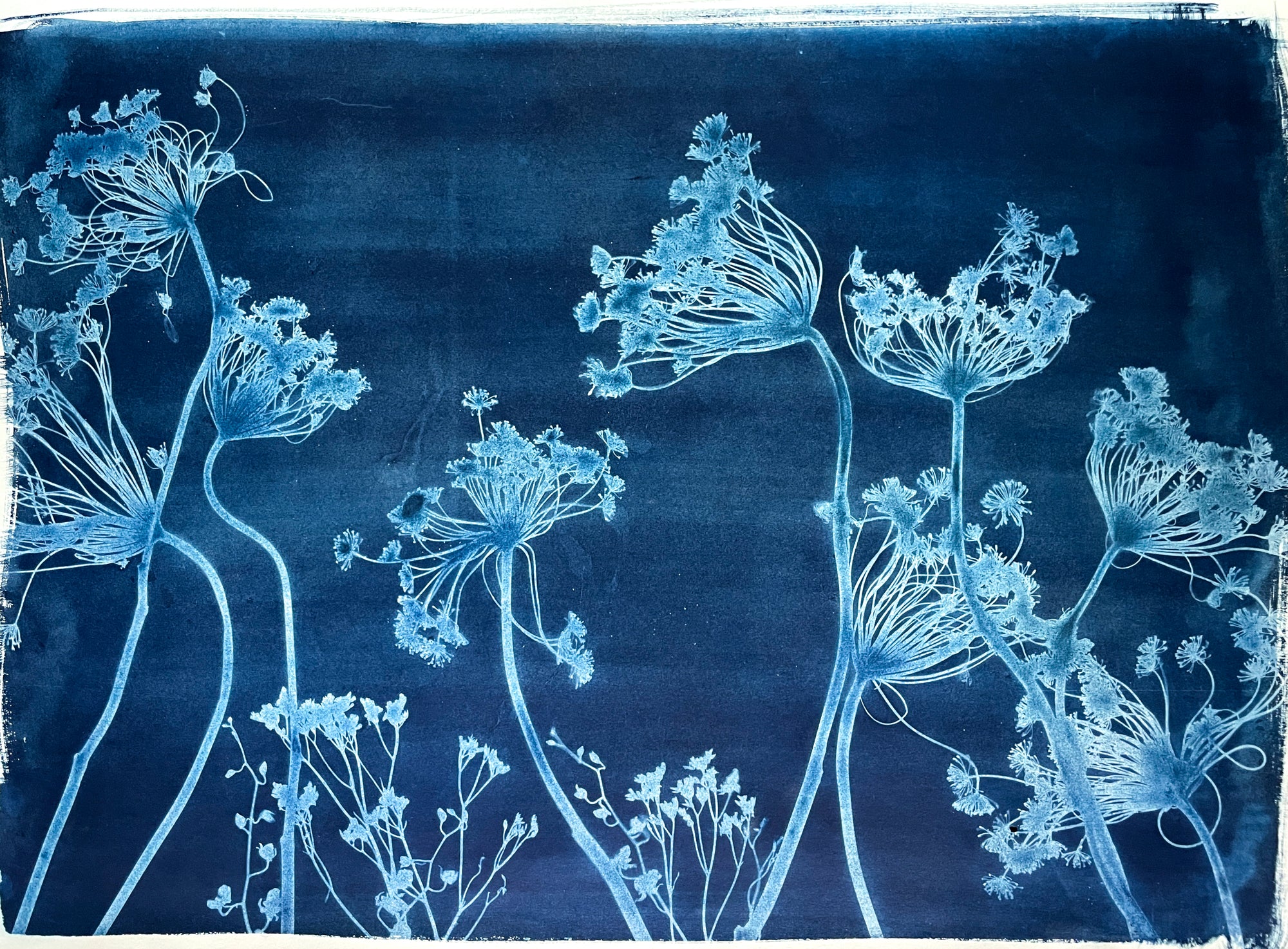 The Wild Garden No. 6