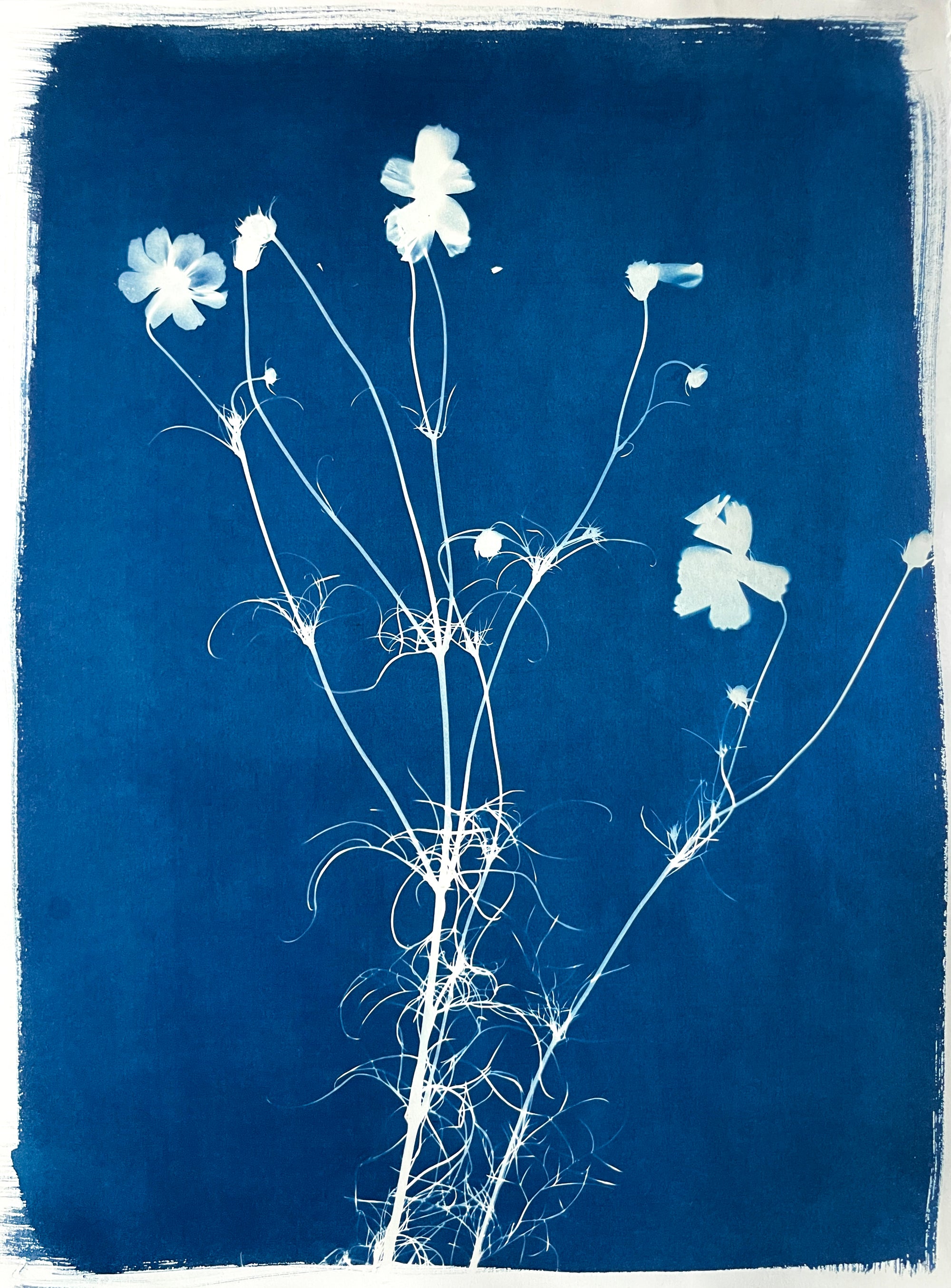 The Wild Garden No. 7