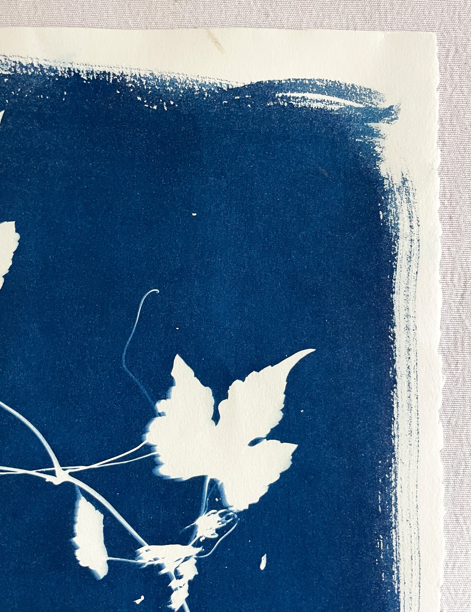 The Wild Garden No. 8