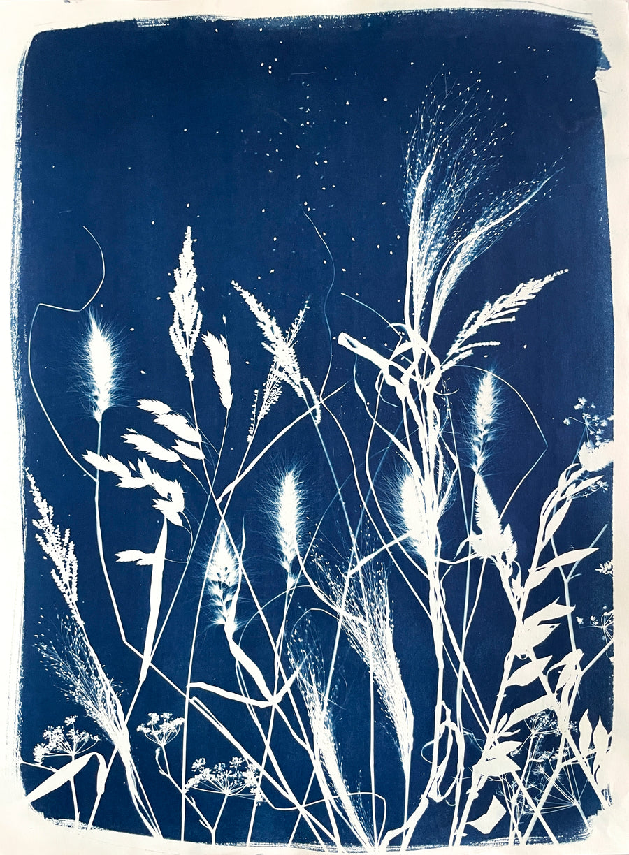 The Wild Garden No. 9