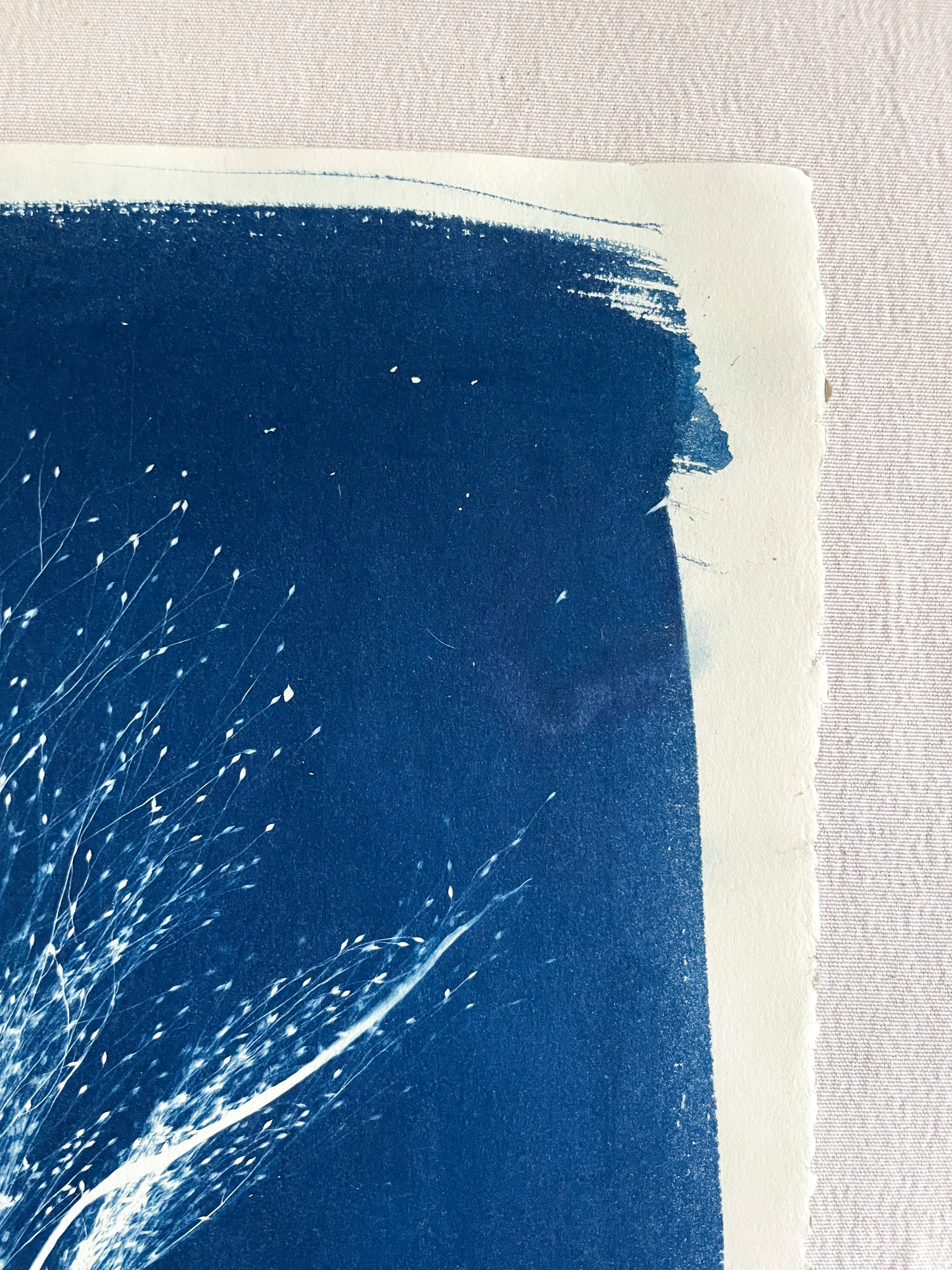 The Wild Garden No. 9