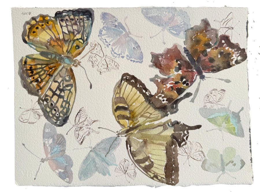Three Large Butterflies