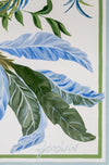 Tidals and Tropics