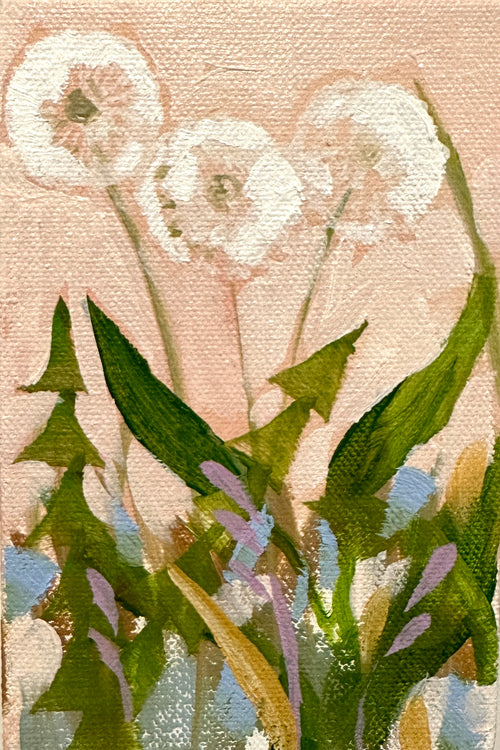Tiny Dandy 2
