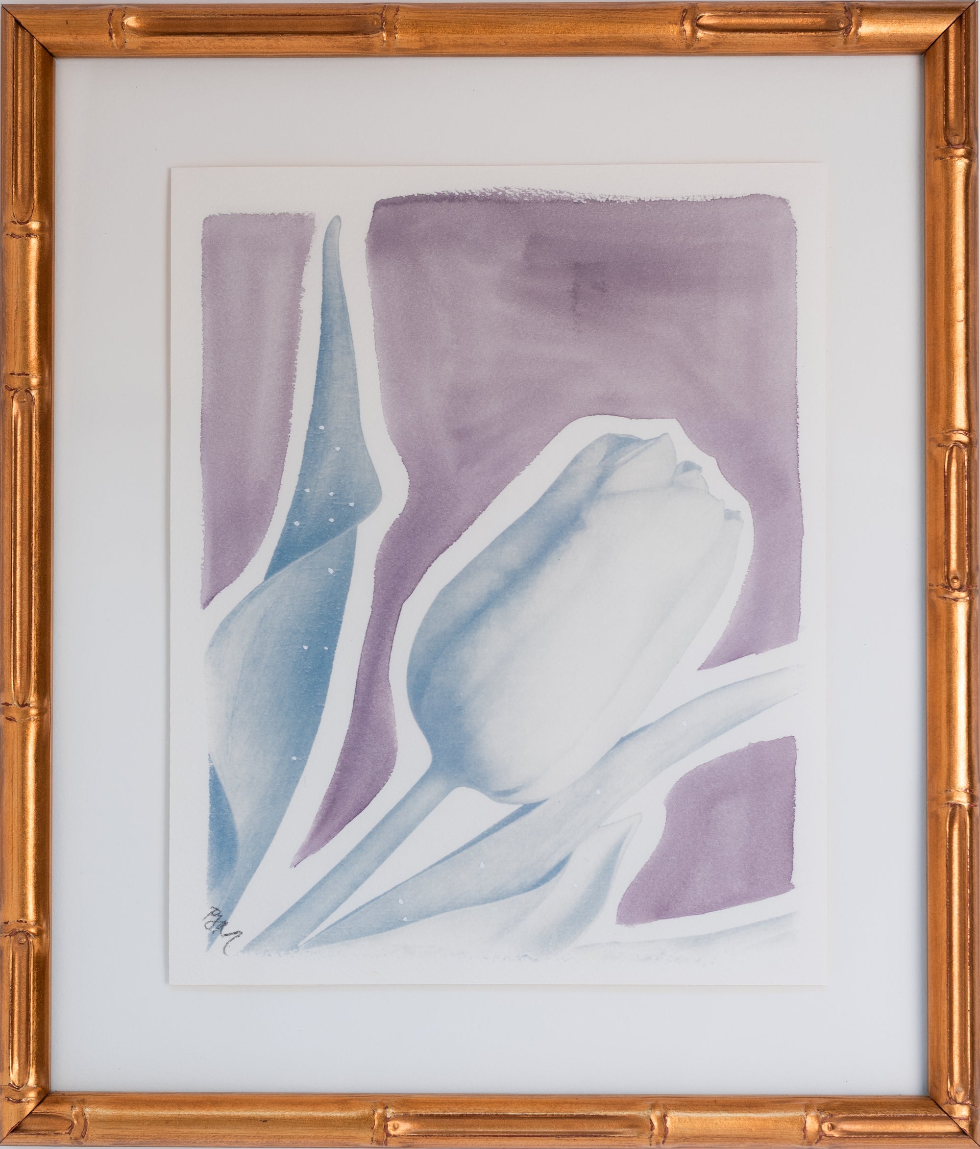 Tulip in Faded Violet