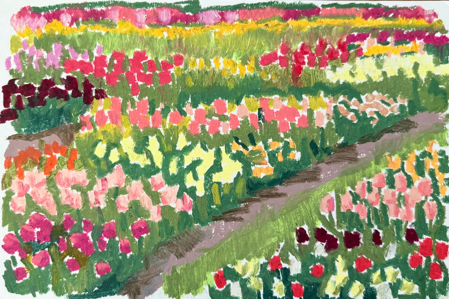 Tulips IV