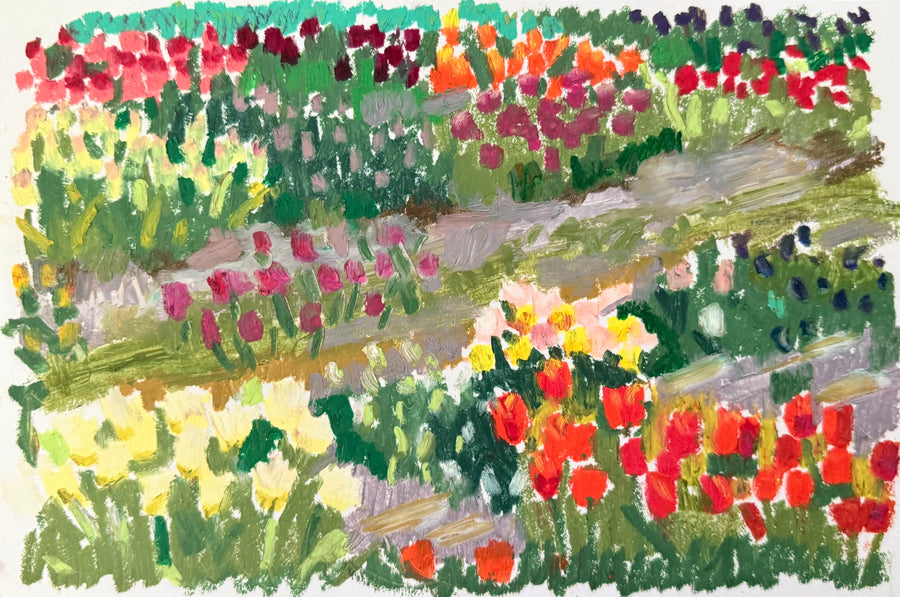Tulips VI