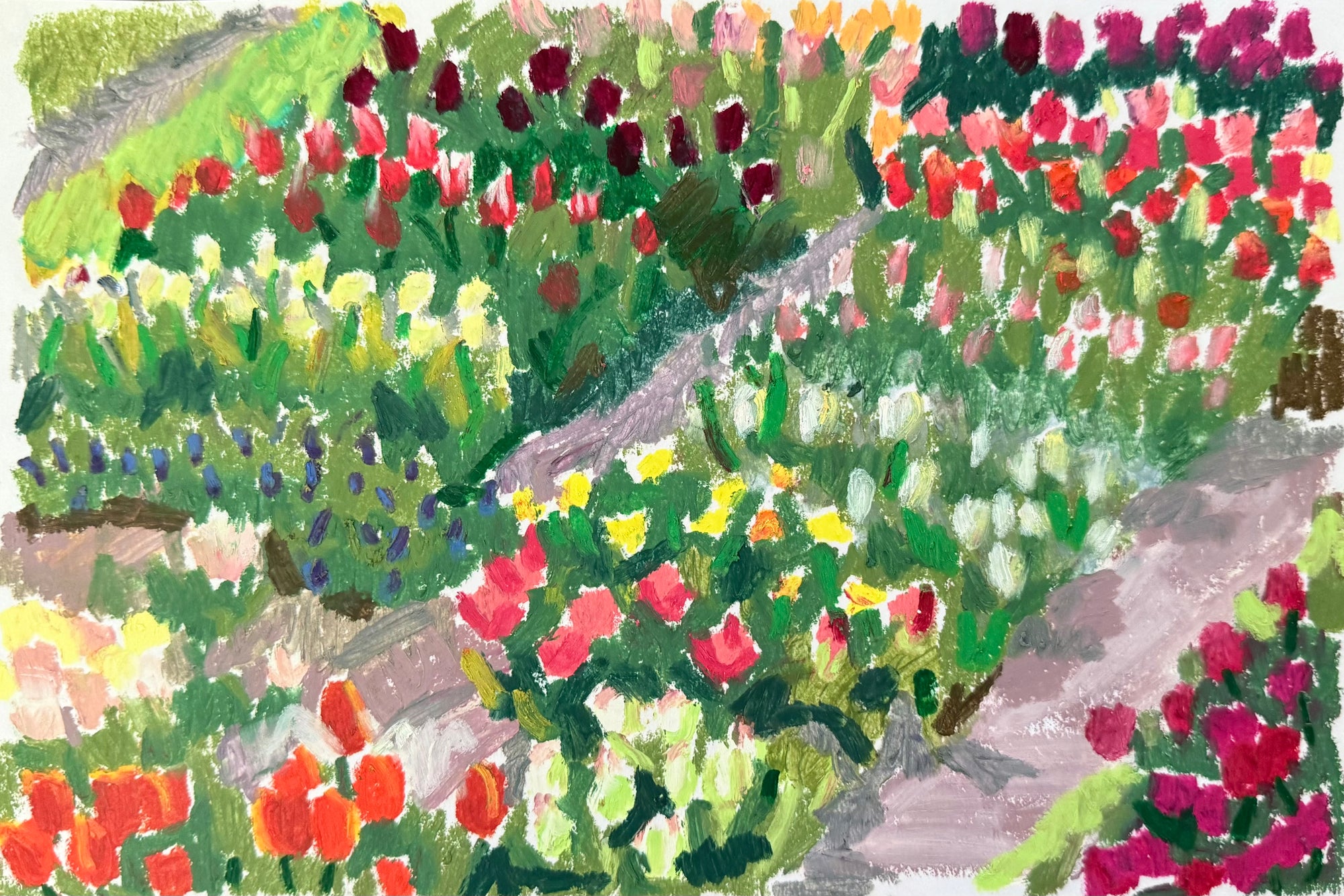 Tulips V