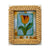 Tulips in Bloom