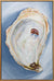 Twilight Oyster