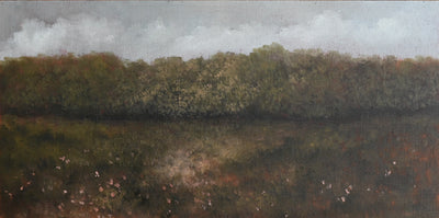 Where the Light Touches