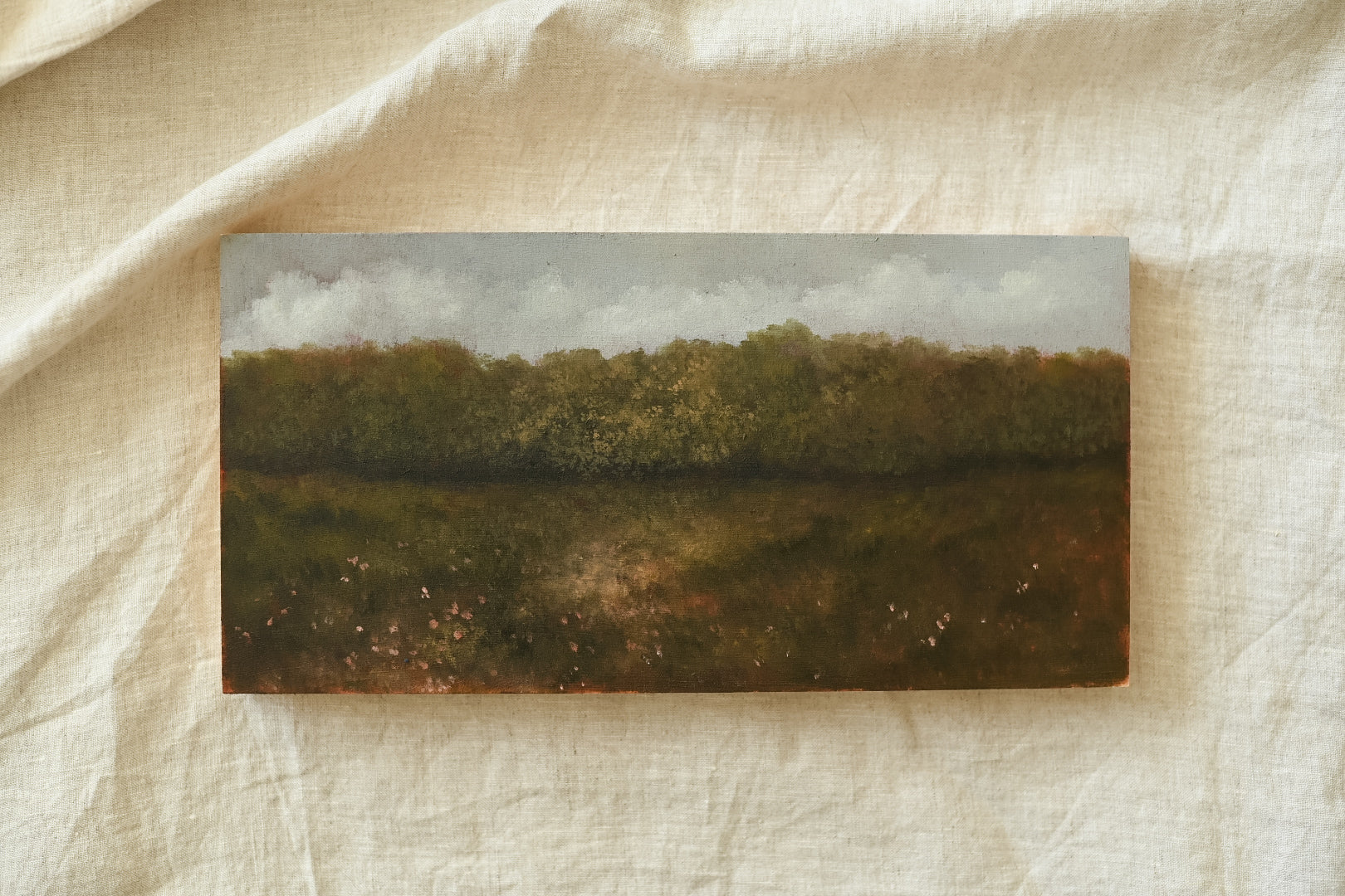 Where the Light Touches