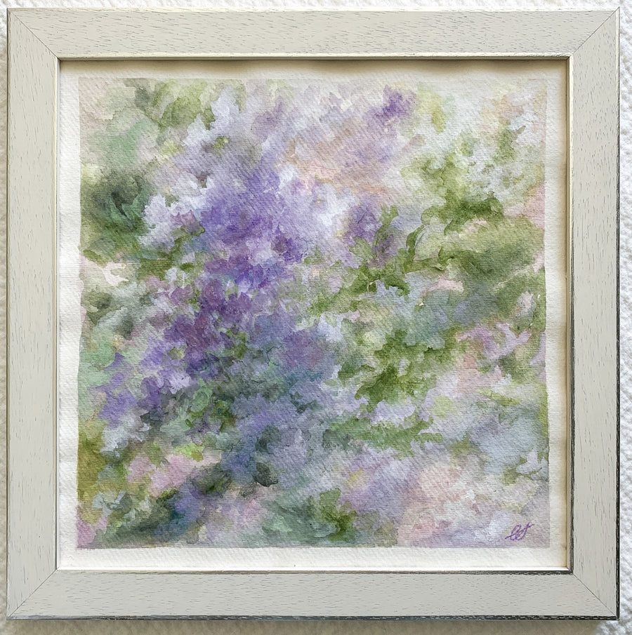 Wisteria in the Park