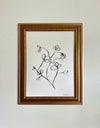 Floral Sketch 1