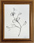 Floral Sketch 2