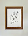 Floral Sketch 3