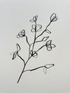 Floral Sketch 3