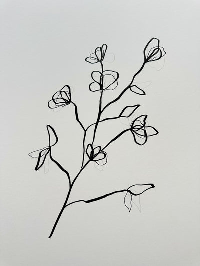 Floral Sketch 3
