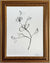 Floral Sketch 5