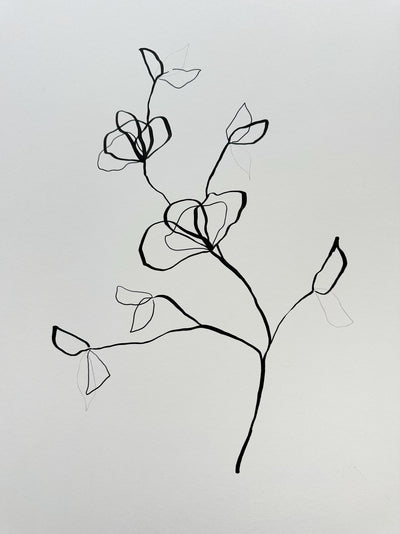 Floral Sketch 5